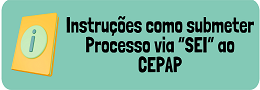 Instruções como submeter processo via SEI ao CEPAP